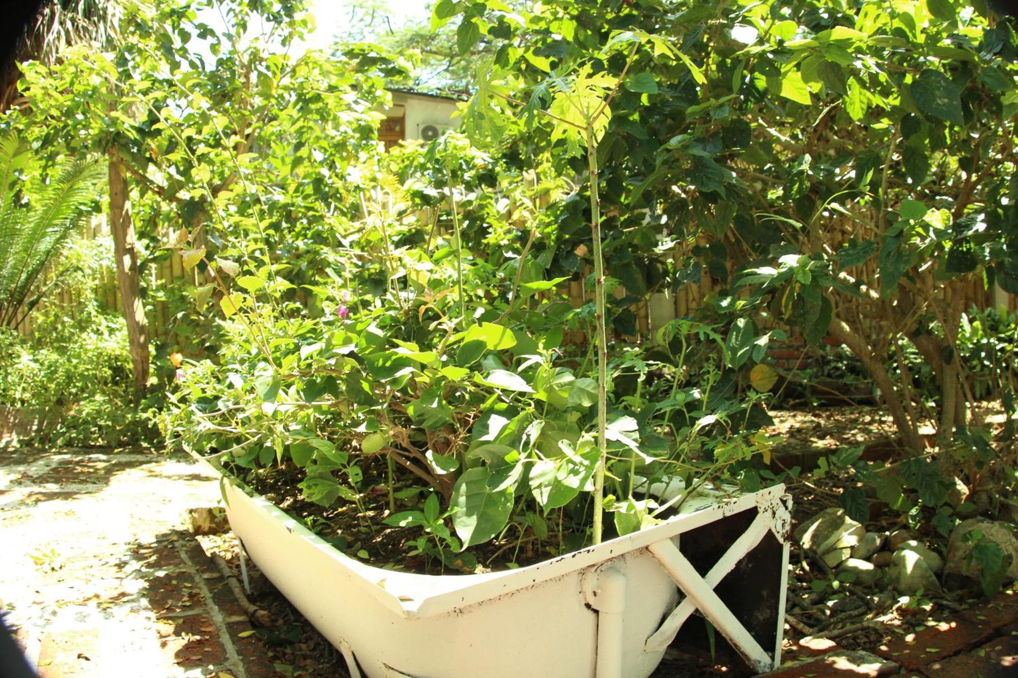 Bed And Breakfast Puerto Lopez Bagian luar foto
